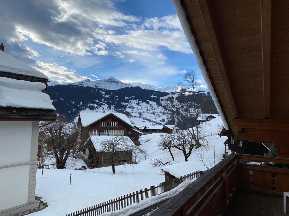 グリンデルヴァルトChalet Elizabethアパートメント エクステリア 写真